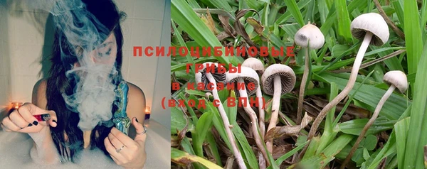 mdpv Нея