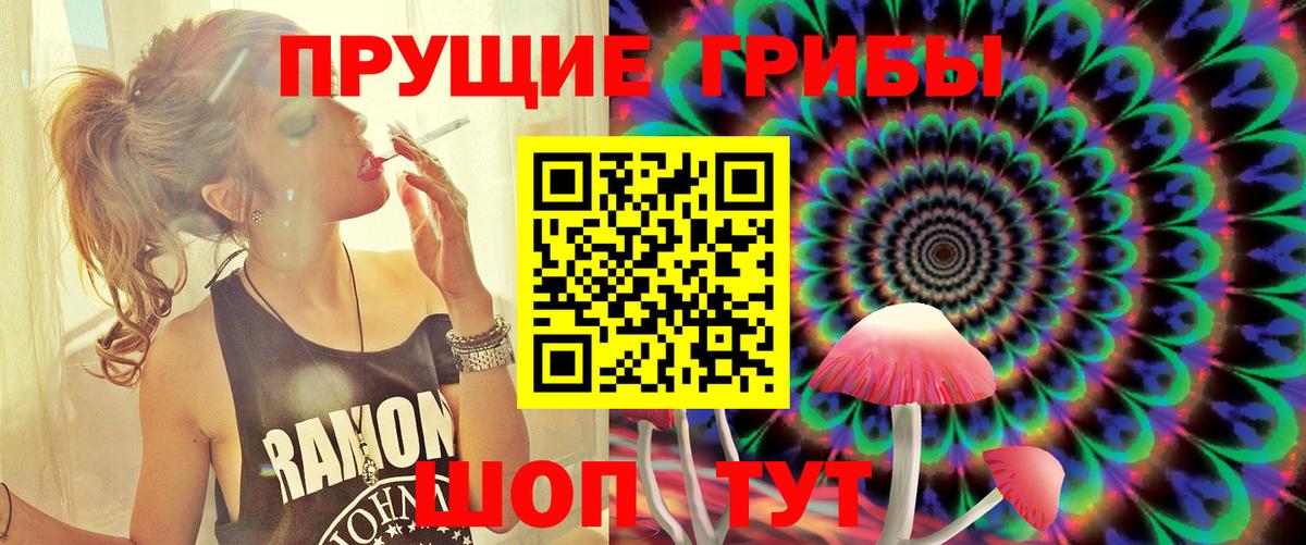 Рассказово  Псилоцибиновые грибы Magic Shrooms  Вход с VPN  Псилоцибиновые грибы ЛСД 